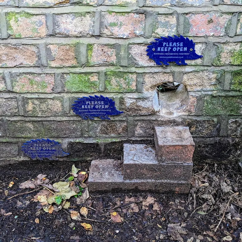 Little steps and a hole in a brick wall for hedgehogs on the Barnes Hedgehog Highway