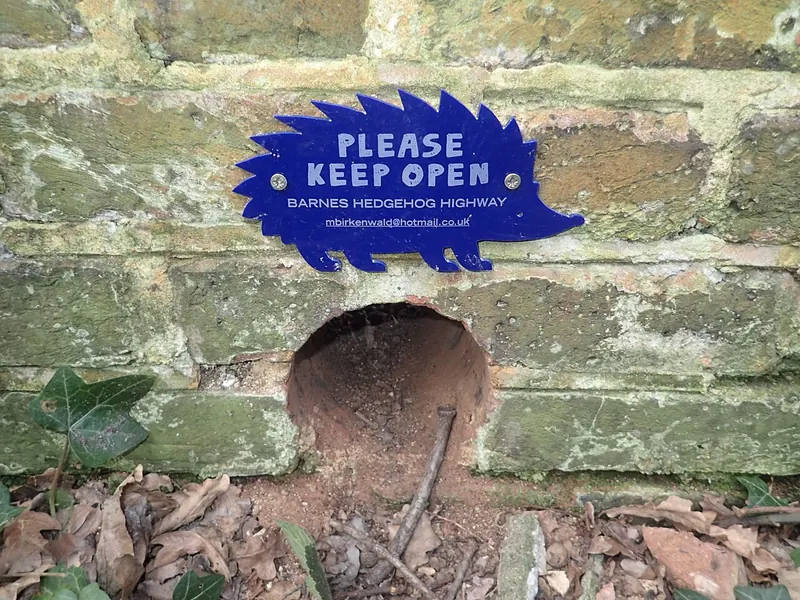 A hedgehog-sized hole at the base of a brick wall with a blue “Please keep open” hedgehog sign above it